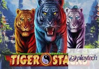 Tiger Stacks