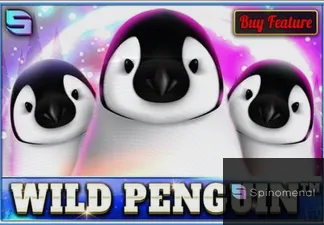 Wild Penguin